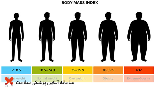 شاخص توده بدنی