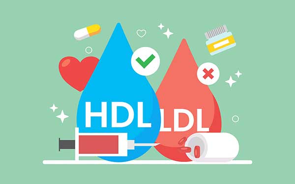 hdl