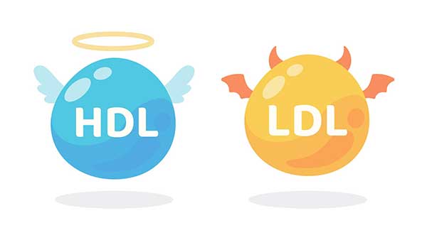 آزمایش کلسترول ldl