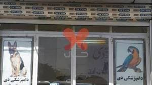 دامپزشکی دی