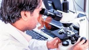 آزمایشگاه تخصصی نیکنام