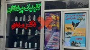 کلینیک پرندگان دکتر مددی، متخصص پرندگان