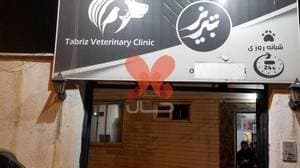 کلینیک شبانه روزی حیوانات خانگی تبریز
