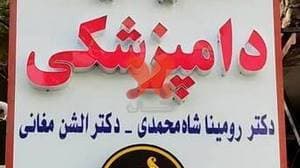 کلینیک دامپزشکی شفا