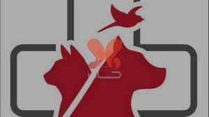 کلینیک دامپزشکی آرتا