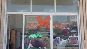 کلینیک دامپزشکی دکتر قهرمانی