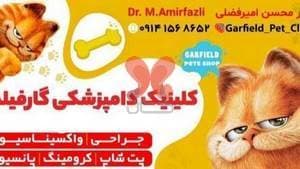 کلینیک دامپزشکی گارفیلد(دکتر امیرفضلی)