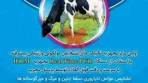 آزمایشگاه تشخیص دامپزشکی صدرا