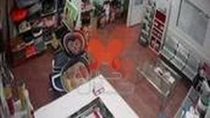 کلینیک دامپزشکی آرا