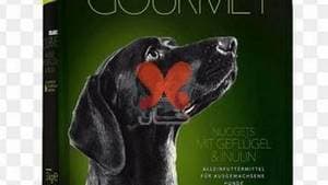 کلینیک دامپزشکی البرز