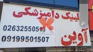 کلینیک دامپزشکی و پت‌شاپ آوین