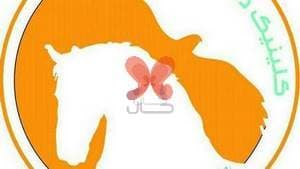 کلینیک دامپزشکی پونه