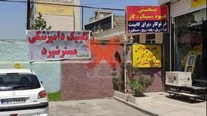 کلینیک دامپزشکی مستر شپرد