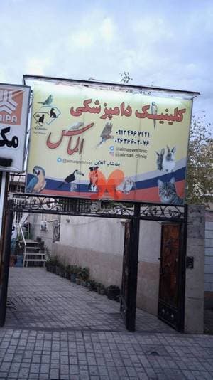کلینیک دامپزشکی الماس