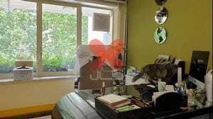 کلینیک دامپزشکی و پت‌ شاپ پویا