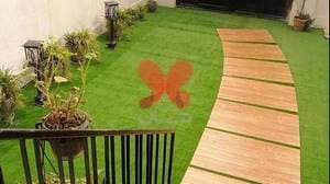 کلینیک دامپزشکی ریواس