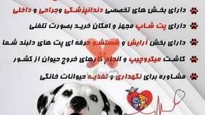 کلینیک دامپزشکی و پت شاپ آمازون