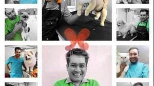 آرایشگاه حیوانات خانگی گرومر