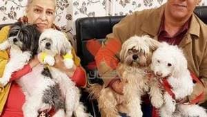 کلینیک دامپزشکی پارس دکتر هومن بیات