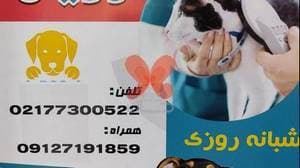 بیمارستان دامپزشکی رویان