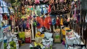 کلینیک دامپزشکی گاندو