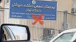 بیمارستان تخصصی دانشکده دامپزشکی - دام‌های کوچک