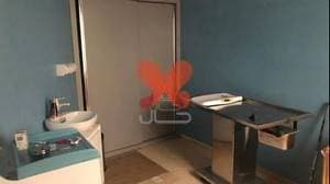 کلینیک دامپزشکی آویل