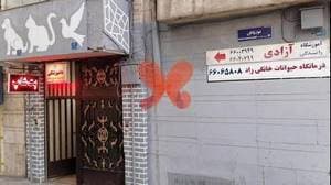 کلینیک دامپزشکی راد