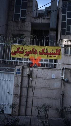 کلینیک دام پزشکی