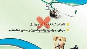 کلینیک دامپزشکی ستاره ری