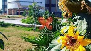 بیمارستان شهید نیاکی ارتش