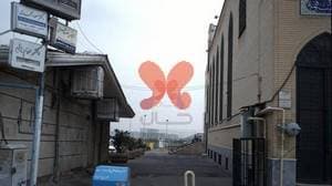 دکتر مریم یمانی