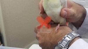 کلینیک دامپزشکی نوین