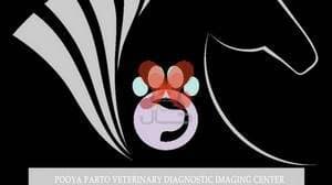 کلینیک دامپزشکی پویا پرتو