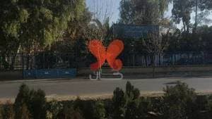 ایستگاه دامپزشکی شماره 2
