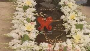 زنده یاد دکتر محمد جواد عباسی