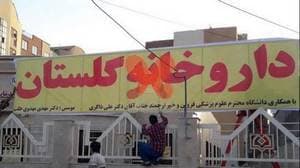 داروخانه گلستان(دکتر مهدوی طلب)