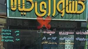 کشاورزی گیاه