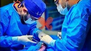 کلینیک دامپزشکی دکتر مهدی مقدم