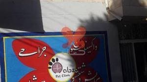 کلینیک حیوانات خانگی نبض
