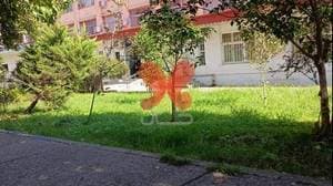 بیمارستان ولیعصر