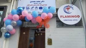 درمانگاه دامپزشکی فلامینگو