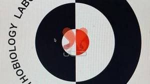 آزمایشگاه پاتوبیولوژی دنا خرم آباد