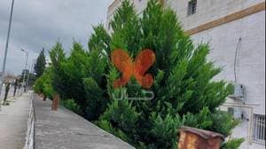 بیمارستان ولایت